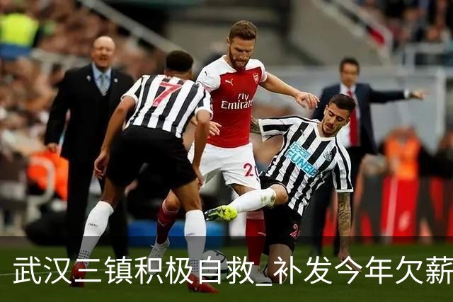 武汉三镇积极自救 补发今年欠薪 准入大概率会解决